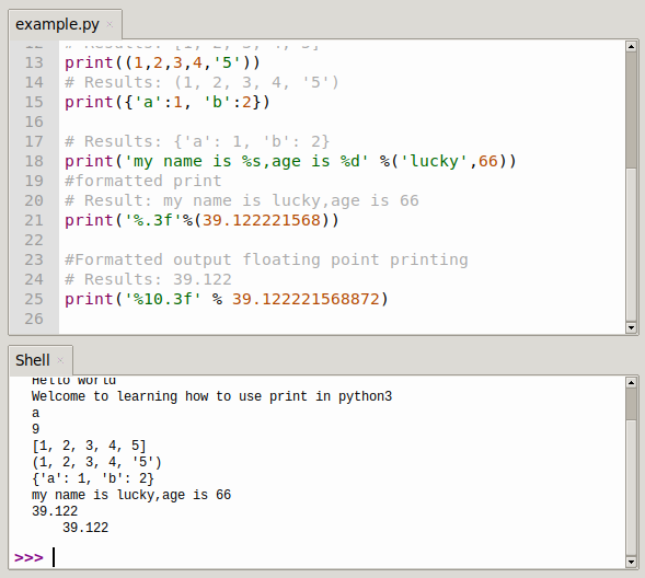 python print function